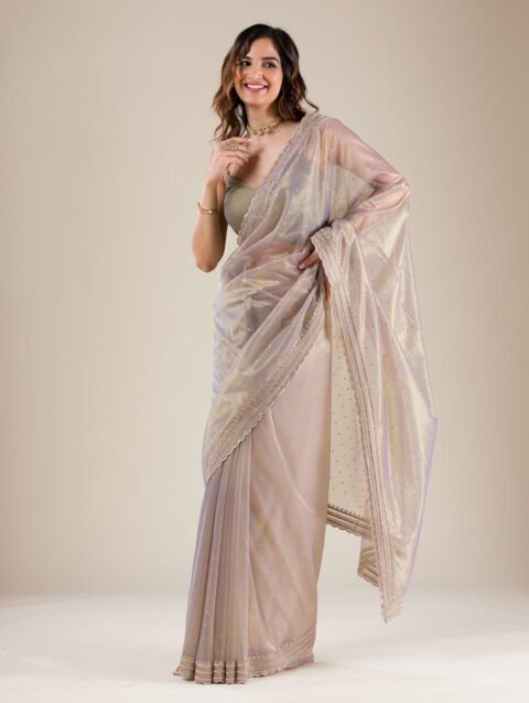 Grey Zariwork Tissue Saree