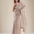Grey Zariwork Tissue Saree